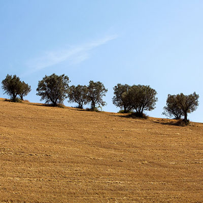 Landschaft in den Marken